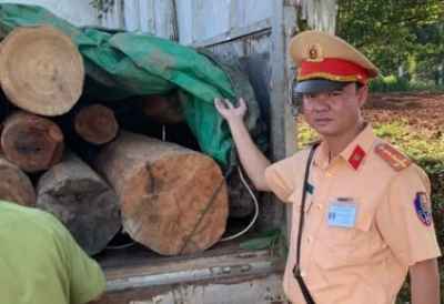 Bắt giữ xe tải chở 17 khúc gỗ Lim không rõ nguồn gốc xuất xứ