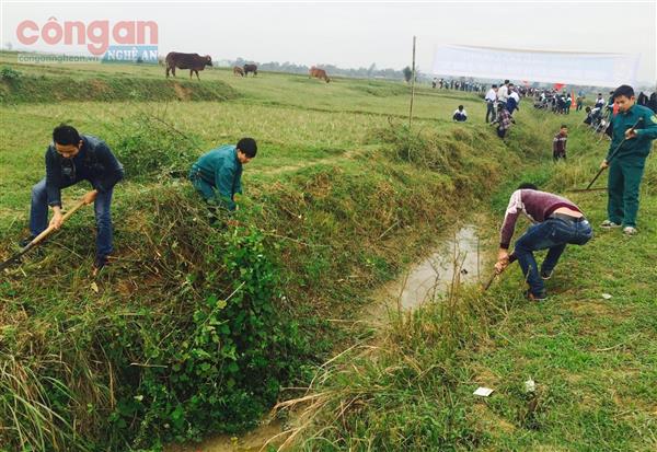 Bất cập trong thực hiện chính sách đầu tư phát triển nông nghiệp