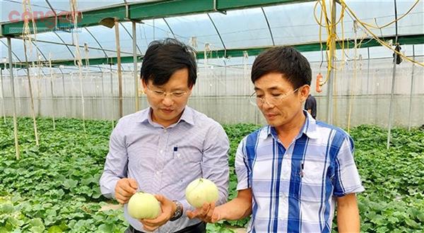 Xã Nghi Long, huyện Nghi Lộc: Chú trọng phát triển kinh tế
