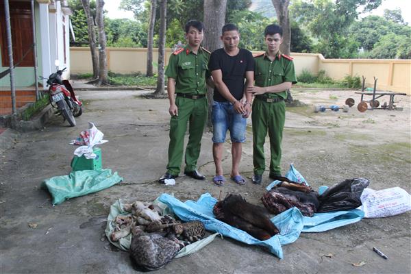 Quyết liệt ngăn chặn tình trạng mua bán động vật hoang dã
