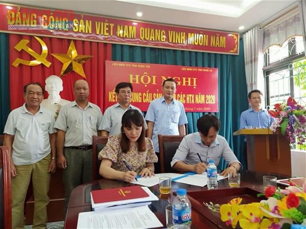 Liên minh Hợp tác xã tỉnh Nghệ An: Phát huy vai trò dẫn dắt kinh tế tập thể