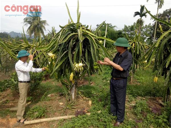 Đẩy mạnh hoạt động khuyến nông