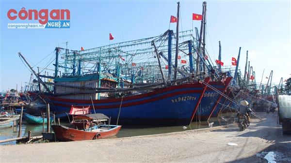 Đẩy mạnh bám biển vươn khơi