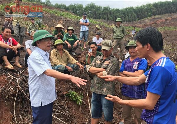 Giao đất, giao rừng chậm tiến độ, doanh nghiệp 'chây ì' thủ tục thuê đất