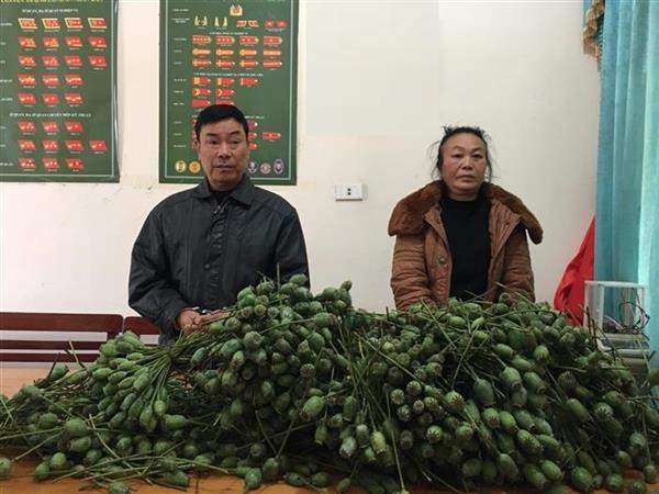 Bắt hai vợ chồng vận chuyển 18 kg quả thuốc phiện