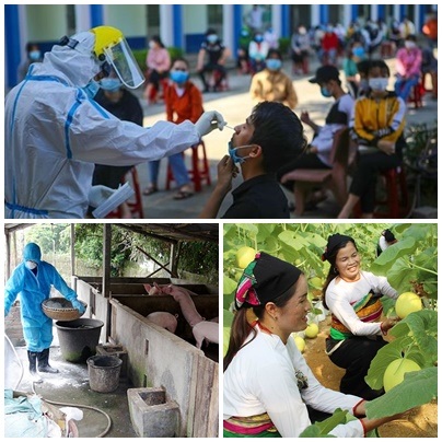Chỉ đạo, điều hành của Chính phủ, Thủ tướng Chính phủ nổi bật tuần từ 28-31/12