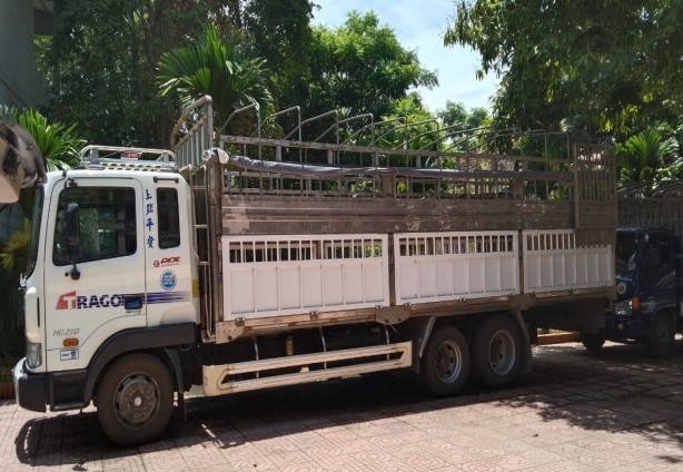 Tạm giữ 12 tấn quặng thiếc không có giấy tờ hợp pháp
