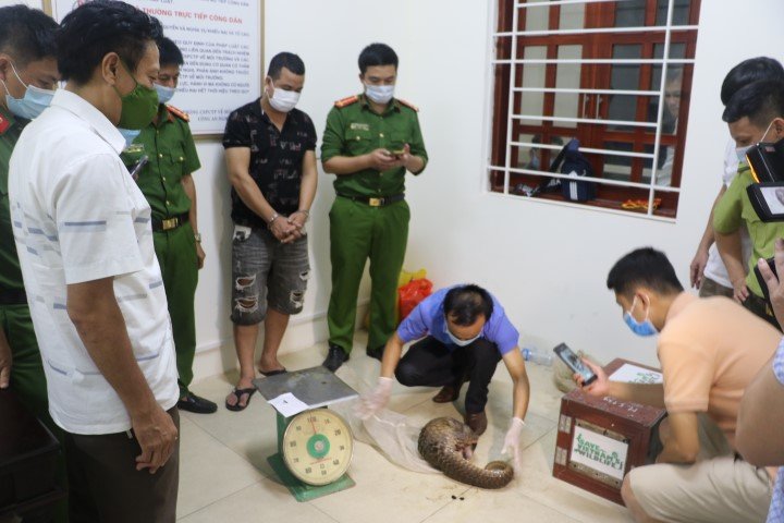 Bắt đối tượng tàng trữ trái phép 04 cá thể tê tê