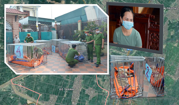 Công an Nghệ An ra quân đồng loạt phát hiện, bắt quả tang nhiều cơ sở nuôi nhốt động vật hoang dã trái phép