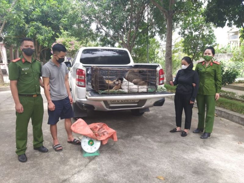 Triệt phá nhóm trộm và tiêu thụ chó liên huyện, liên tỉnh