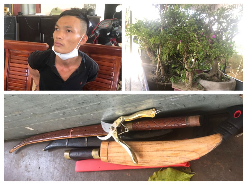 Đối tượng Trần Văn Công (kẻ gây ra nhiều vụ trộm cây cảnh khiến người dân bức xúc) và tang vật
