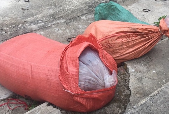 Công an huyện Nghi Lộc: Bắt giữ hơn 100 kg nội tạng động vật không rõ nguồn gốc