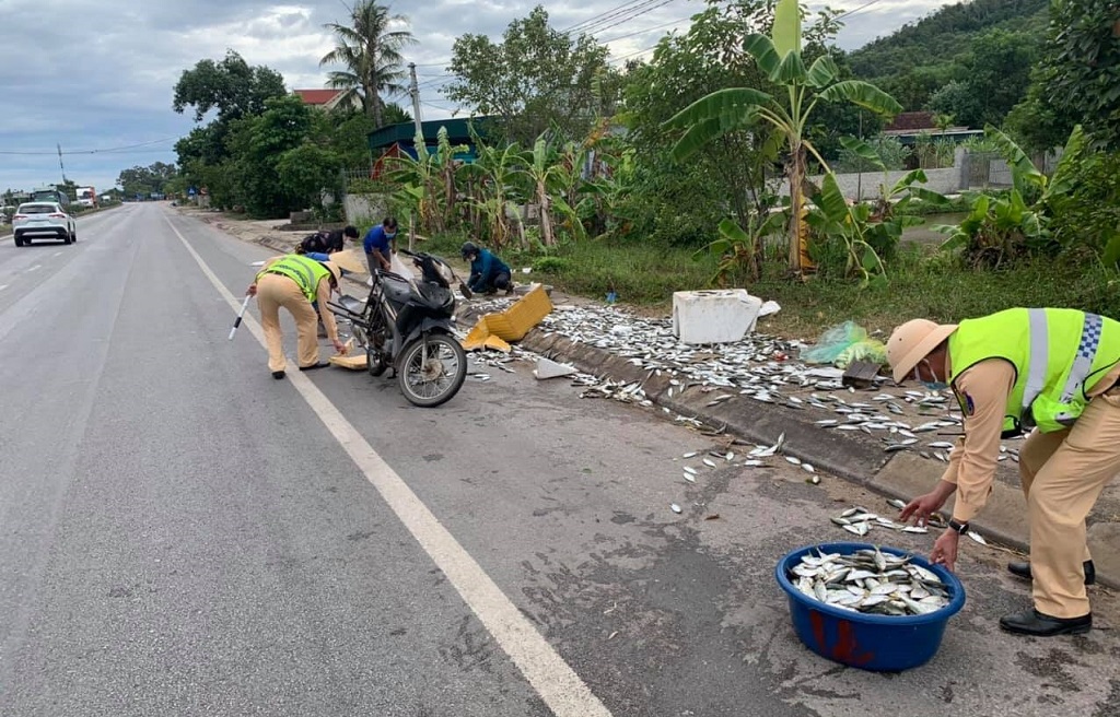 Trạm Cảnh sát giao thông Diễn Châu giúp người dân thu gom cá rơi vãi trên đường