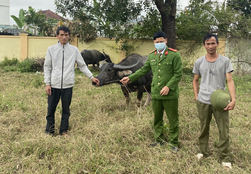 Gia đình anh Thành nhận lại tài sản 03 con trâu sau hơn 20 ngày thất lạc