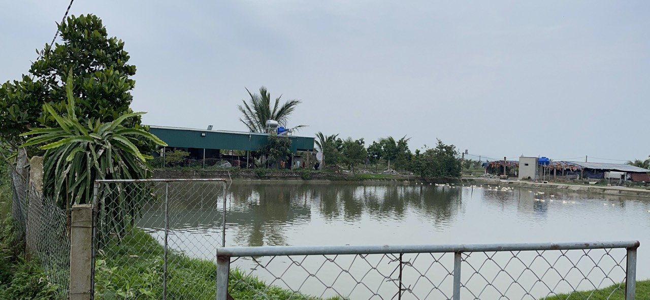 Trang trại của Phạm Khắc Lộc, nơi các đối tượng lựa chọn làm địa điểm đánh bạc