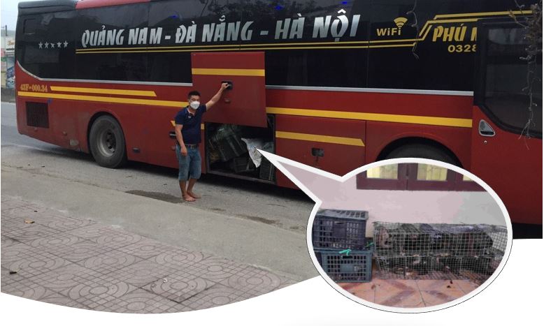 Xe khách vận chuyển 17 cá thể động vật không rõ nguồn gốc