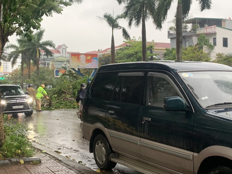 Cành cây lớn chắn ngang đường, cản trở giao thông giờ cao điểm