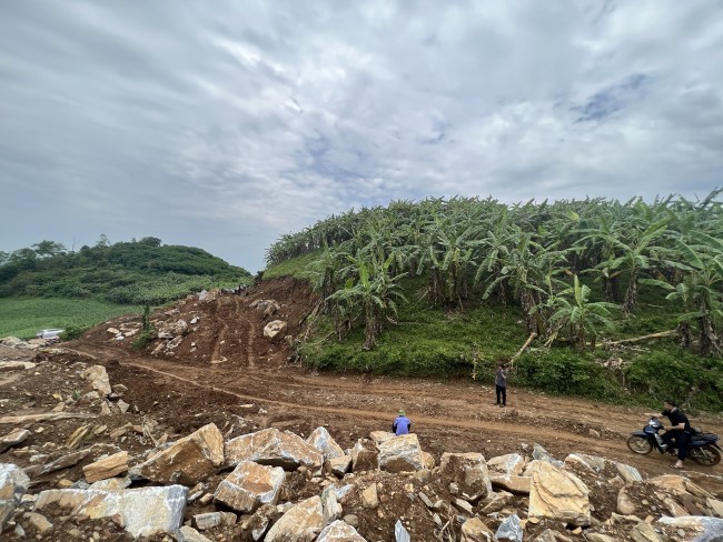 Một phần quả đồi trồng chuối tiếp giáp giữa xã Nghĩa Đức, huyện Nghĩa Đàn với xã Tây Hiếu, thị xã Thái Hòa bị các đối tượng khai thác trái phép
