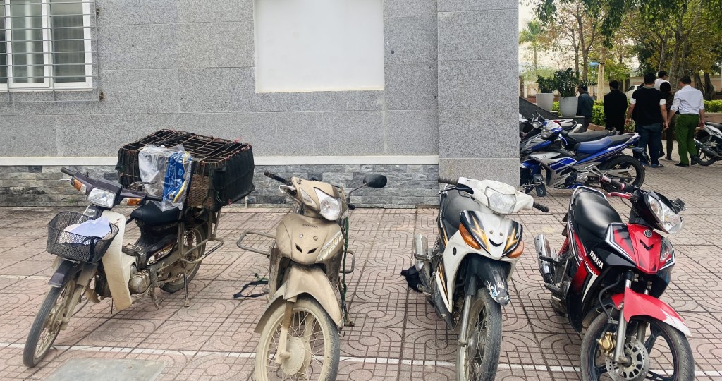 Số chó bị thu giữ từ các đối tượng và đang được trao trả cho người dân