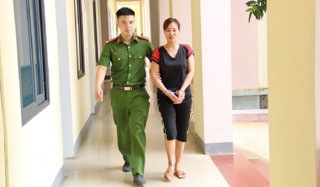 Cảnh giác với thủ đoạn lừa bán cây gỗ keo để chiếm đoạt tài sản