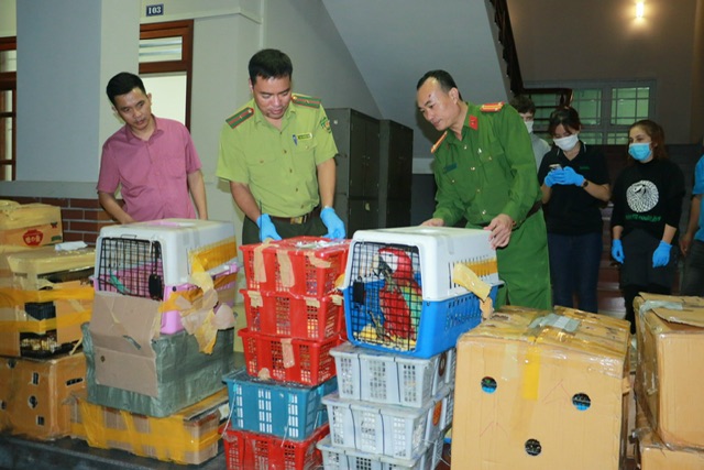 Lực lượng chức năng kiểm đếm tang vật
