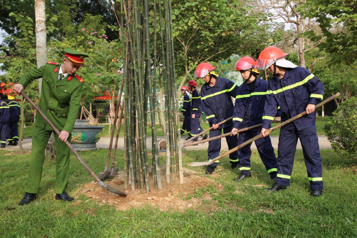 Dịp này,hơn 2500 cây Mai Cần được trồng, góp phần bảo vệ môi trường