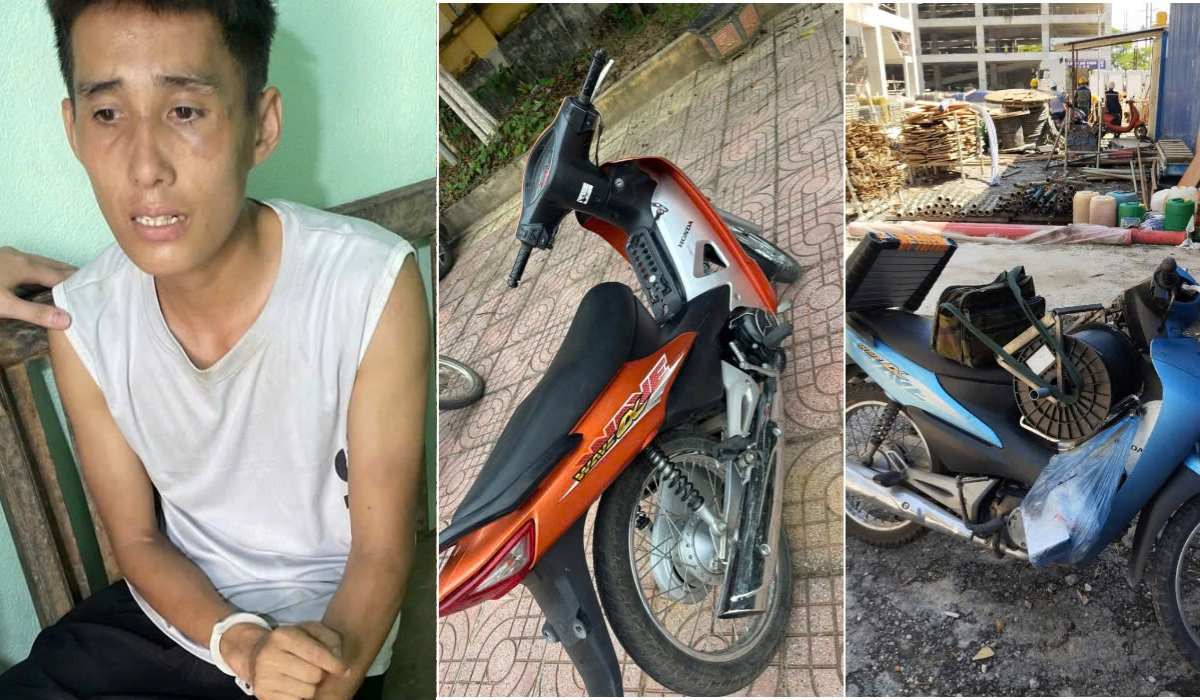 Bắt đối tượng trộm cắp và lừa đảo chiếm đoạt tài sản tại nhiều địa phương trên cả nước