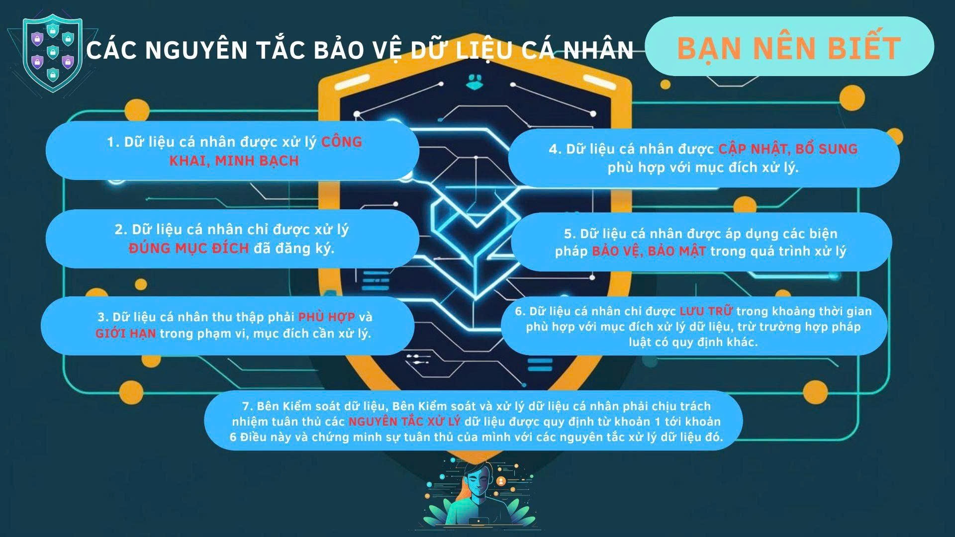 Các nguyên tắc thép bảo vệ dữ liệu cá nhân trong thời đại số