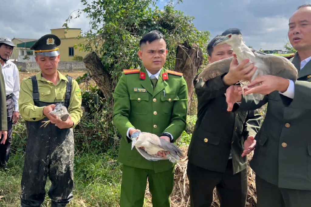 Công an phường Vinh Hưng cùng lực lượng chức năng thả cá thể chim hoang dã về lại môi trường tự nhiên