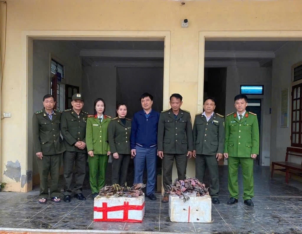 Công an xã Hợp Minh cùng các lực lượng thu hồi dụng cụ đặt bẫy và khai thác trái phép chim trời và động vật hoang dã
