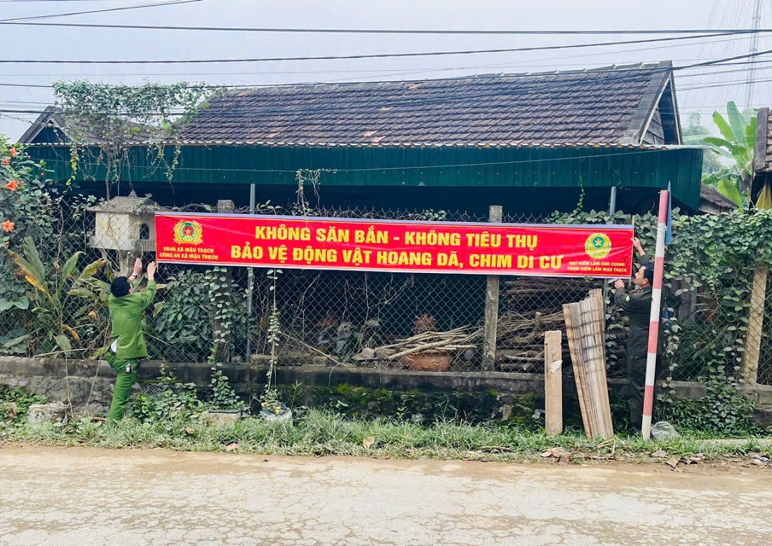 Lực lượng chức năng cắm biển cảnh báo, treo panô tuyên truyền bảo vệ động vật hoang dã và nguồn lợi thủy sản 