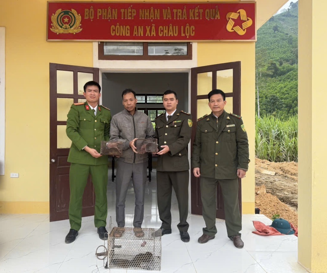 Công an xã Châu Lộc tiếp nhận cá thể động vật hoang dã