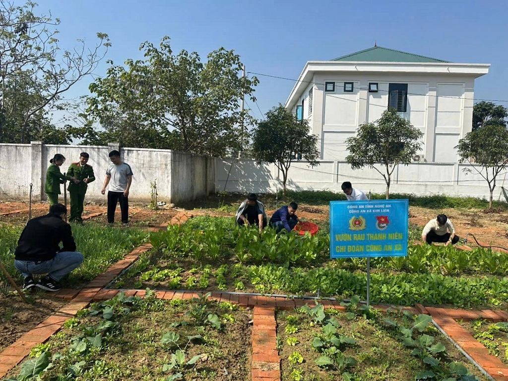 Việc xây dựng và duy trì mô hình “Vườn rau Thanh niên” nhằm nâng cao chất lượng bữa ăn của cán bộ, chiến sĩ, góp phần xây dựng đơn vị chính quy, xanh – sạch – đẹp.