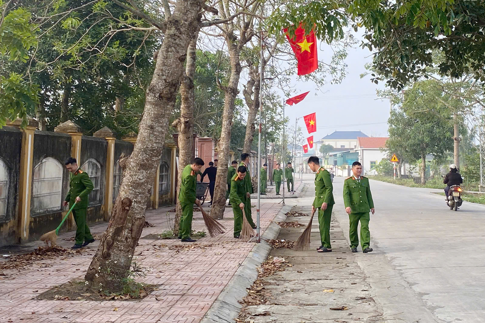 Tổ chức 