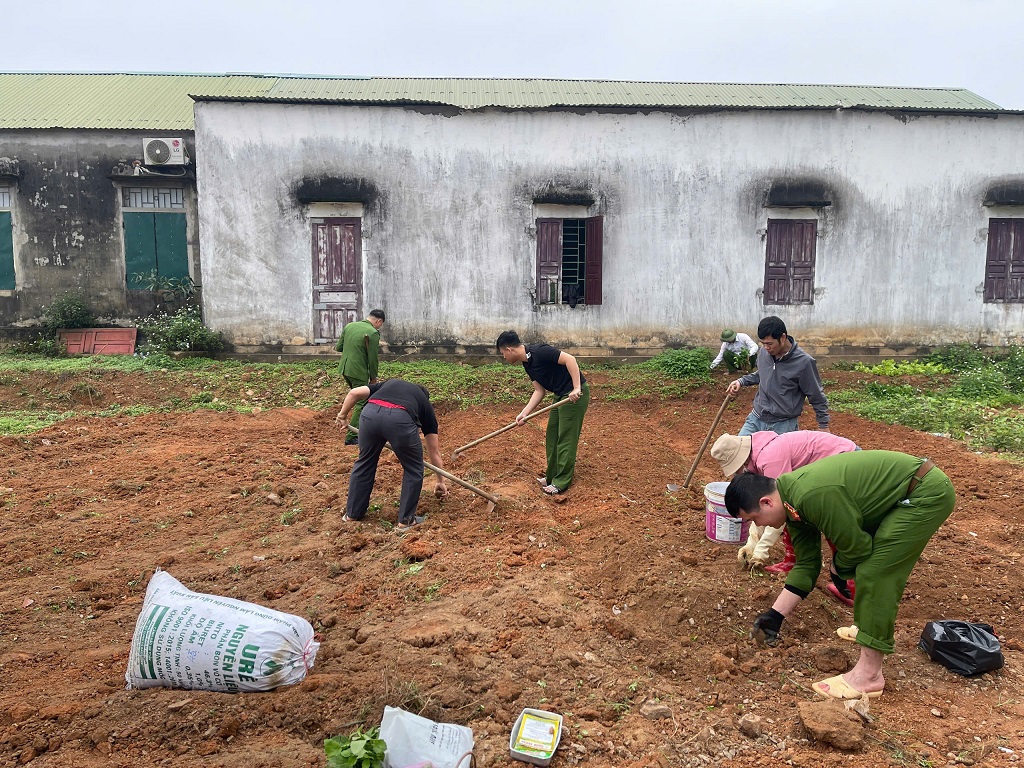Triển khai làm công trình 