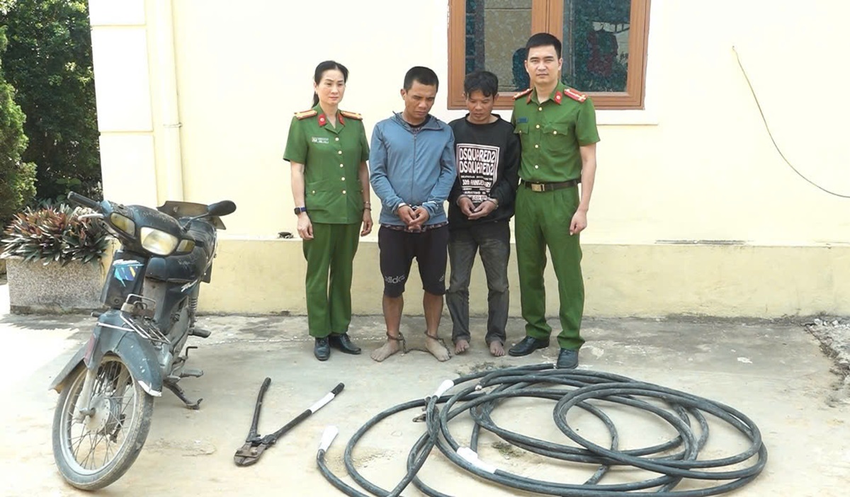 Bắt 02 đối tượng trộm cắp dây cáp điện của hợp tác xã