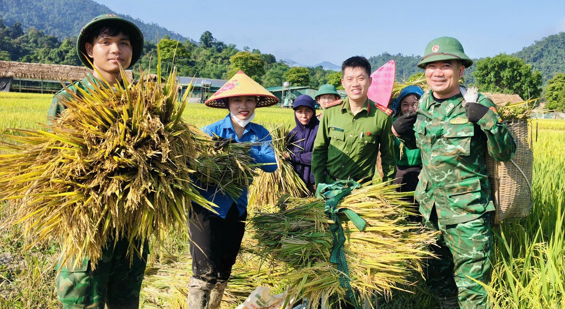 Công an xã Môn Sơn hỗ trợ hộ nghèo thu hoạch lúa