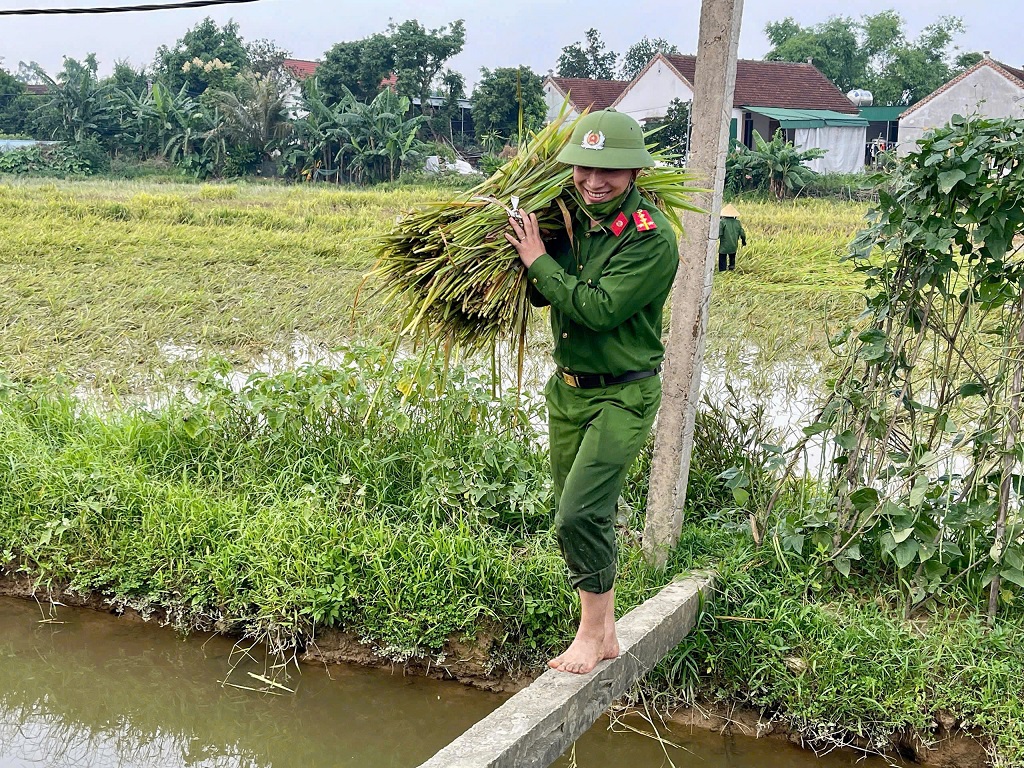 Công an xã Thiên Nhẫn hỗ trợ người dân gặt lúa do thiên tai