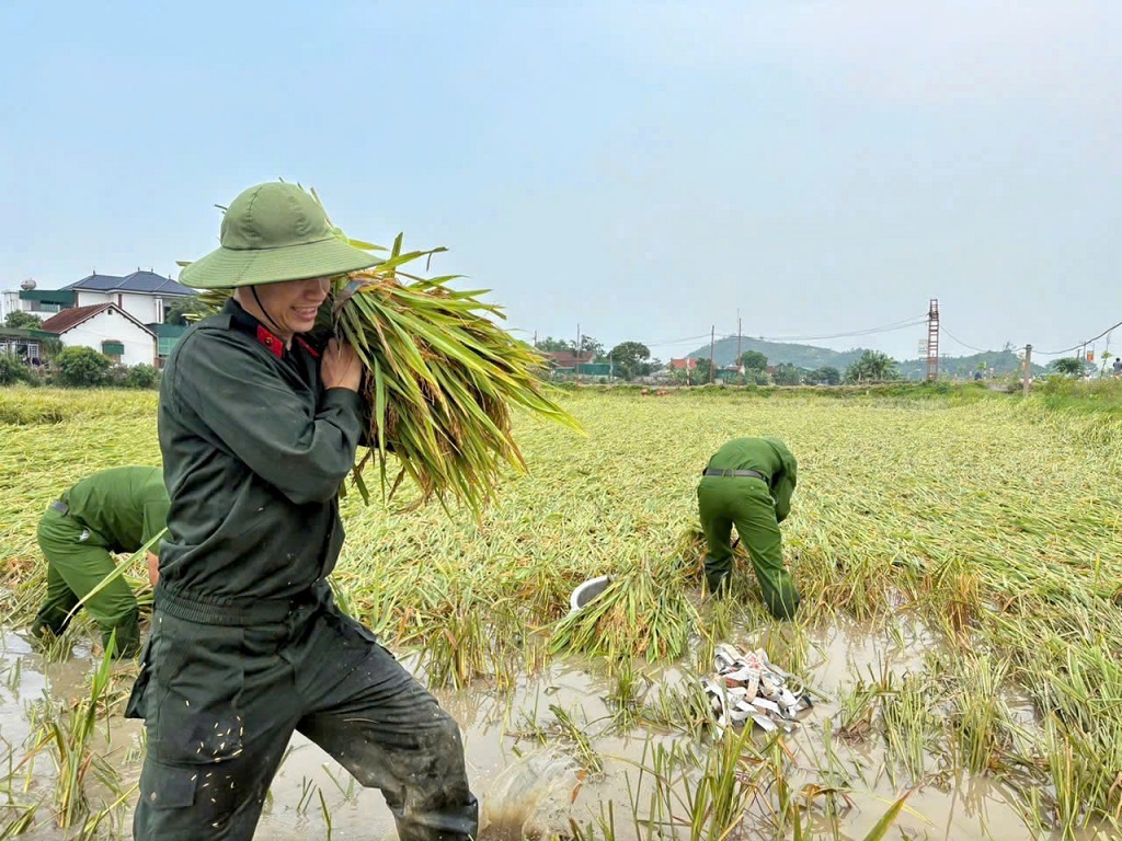 Công an xã Thiên Nhẫn hỗ trợ người dân gặt lúa do thiên tai