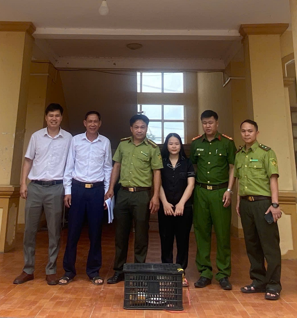 Người dân giao nộp cá thể Cu li nhỏ cho lực lượng chức năng