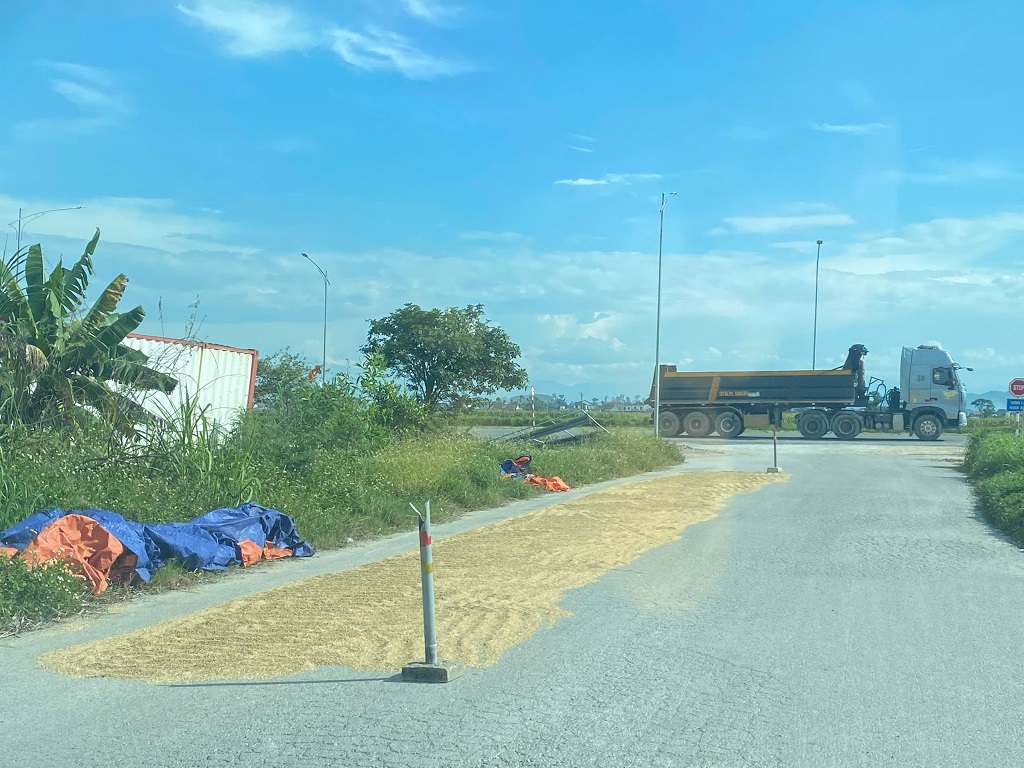 Cảnh báo nguy cơ cháy do phơi, đốt rơm rạ mùa thu hoạch lúa