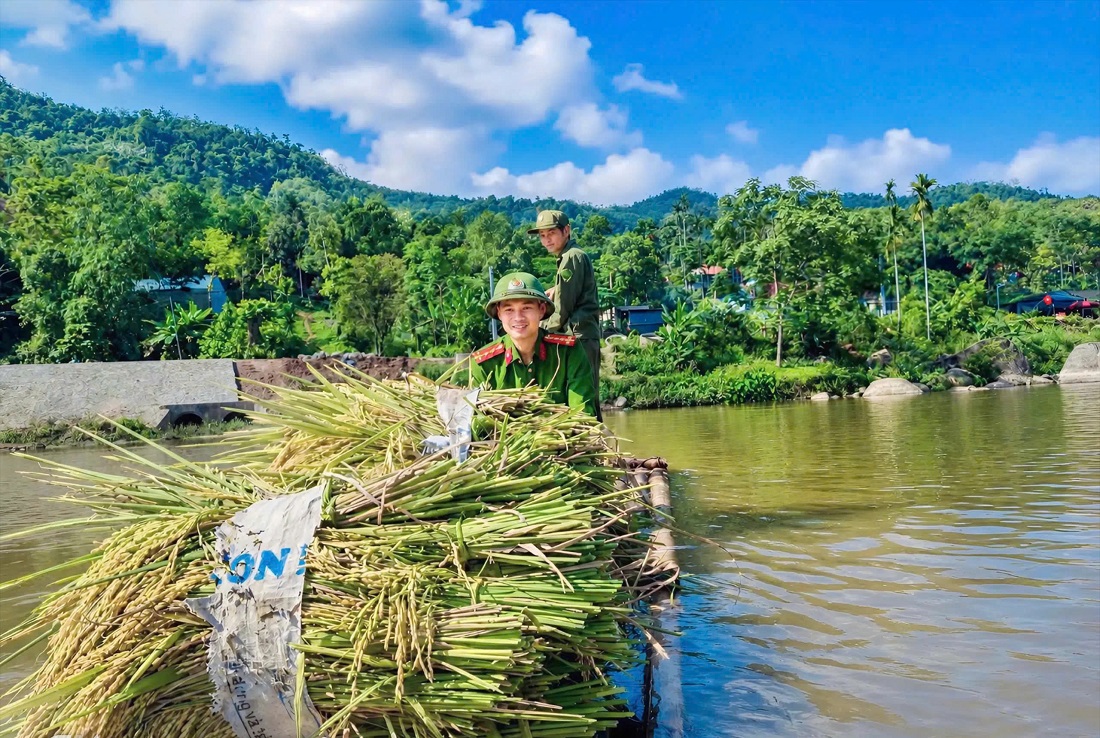 Công an xã Tiền Phong giúp gia đình thương binh thu hoạch lú