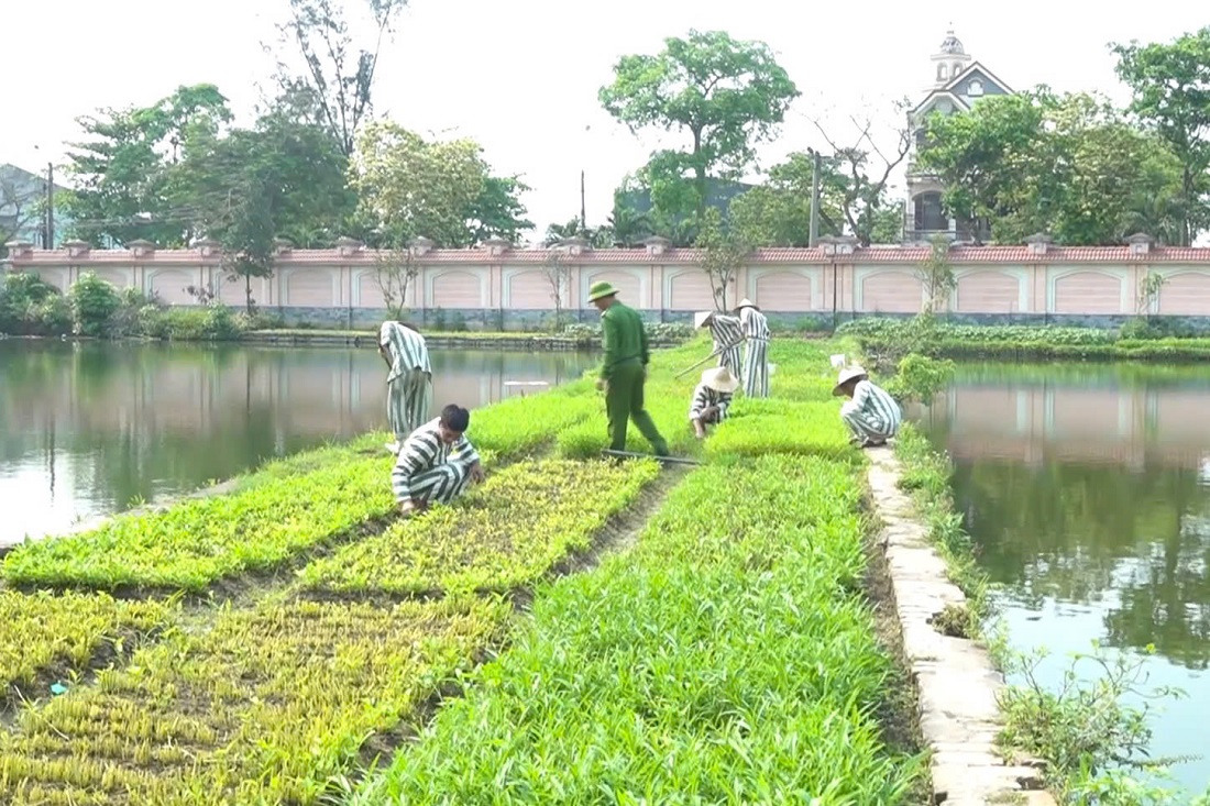 Ngày trở về của những người từng lầm lỡ