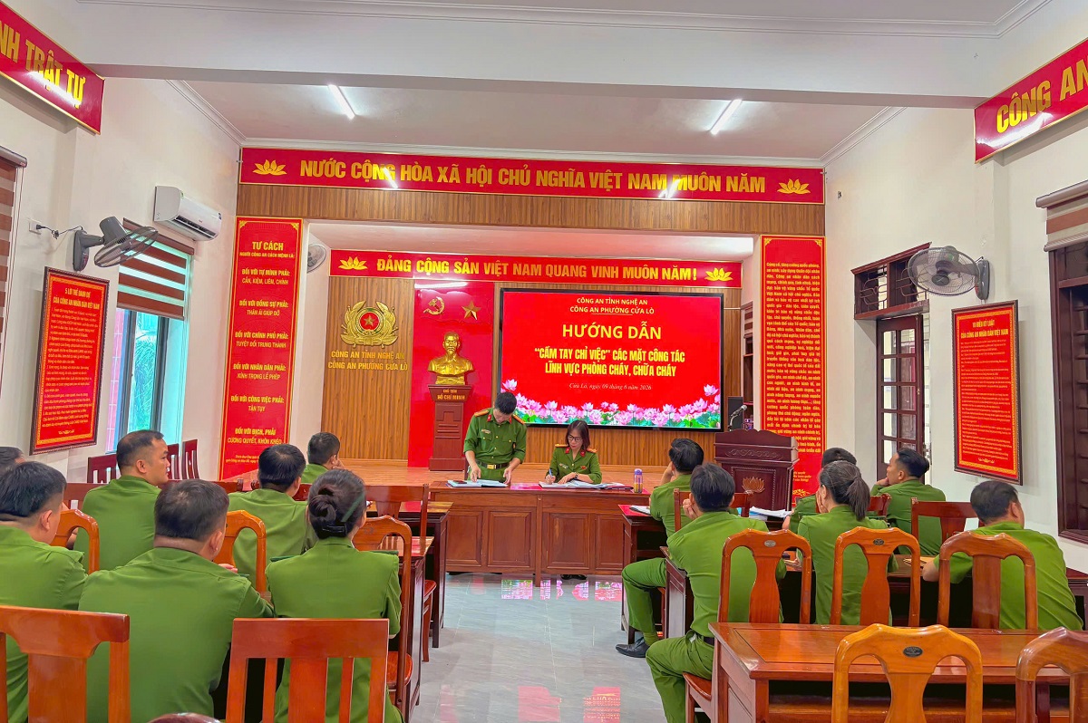 Tổ chức hướng dẫn, 