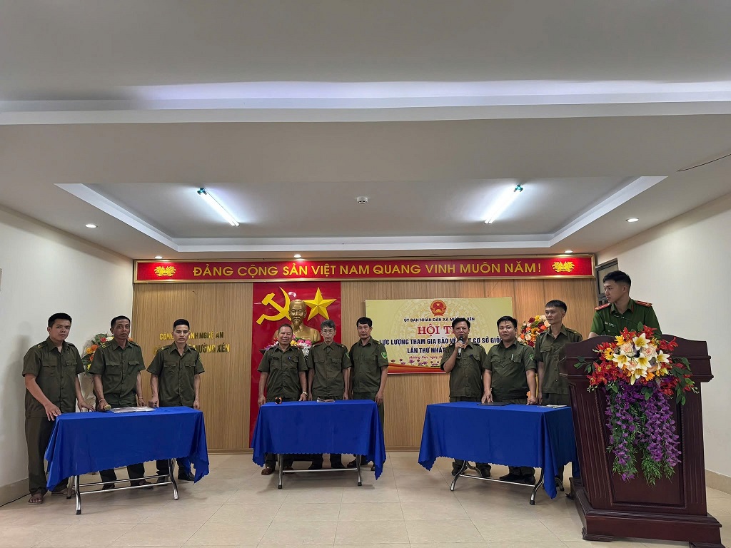 Phần thi các đội 