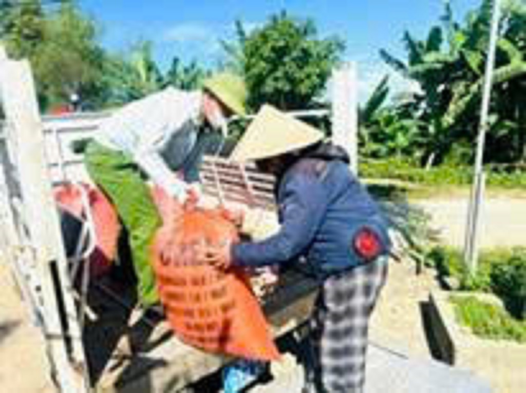 Chi đoàn Công an xã Bích Hào hỗ trợ người dân gặt và vận chuyển lúa