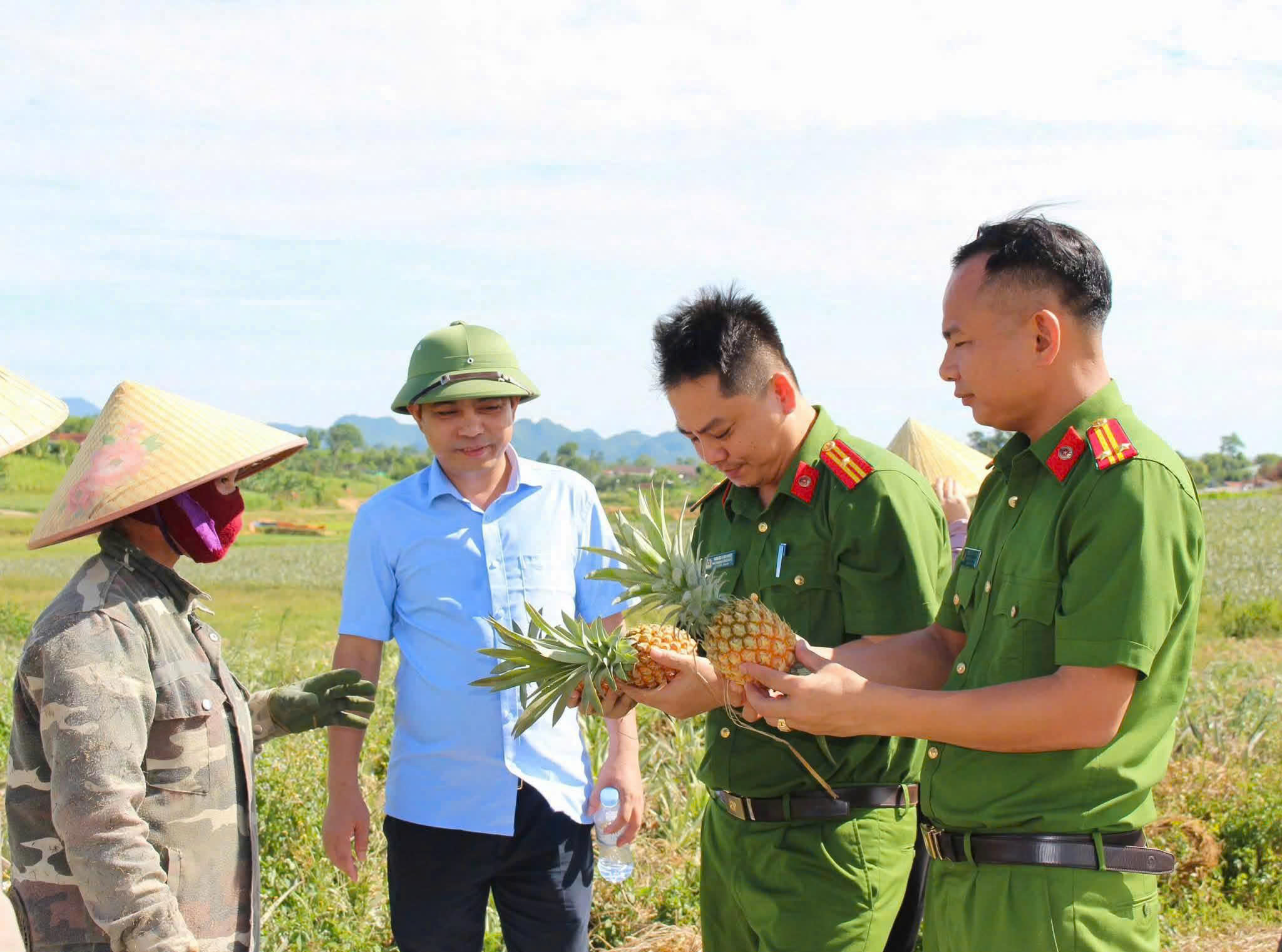 Công an xã Tân An đồng hành cùng với người dân về phát triển vùng nguyên liệu dứa