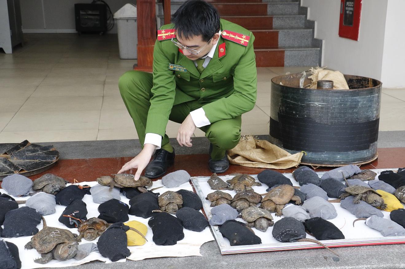 Những kết quả quan trọng qua thời gian đầu triển khai thực hiện Pháp lệnh Cảnh sát môi trường (sửa đổi, bổ sung)
